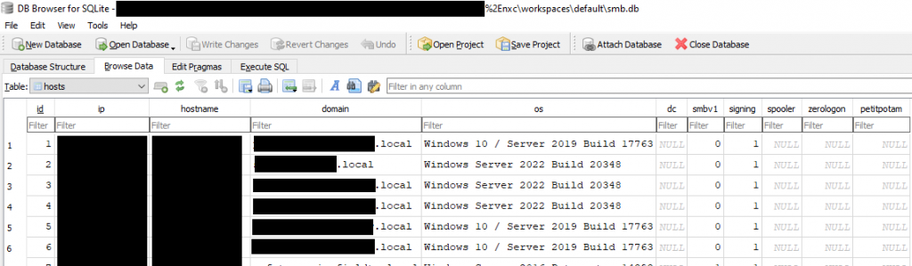 Netexec'in yürütülmesi.